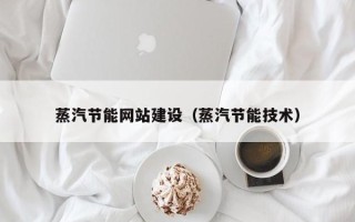 霍邱蒸汽节能网站建设（蒸汽节能技术）